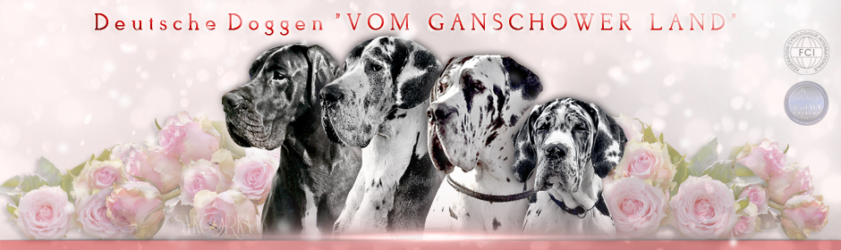 (c) Ganschower-doggen.de